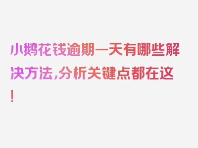 小鹅花钱逾期一天有哪些解决方法，分析关键点都在这！