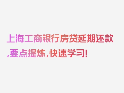 上海工商银行房贷延期还款，要点提炼，快速学习！