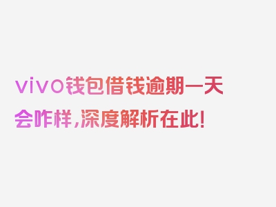 vivo钱包借钱逾期一天会咋样，深度解析在此！