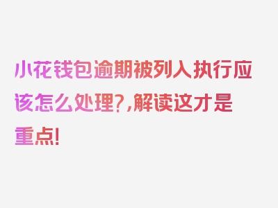 小花钱包逾期被列入执行应该怎么处理?，解读这才是重点！