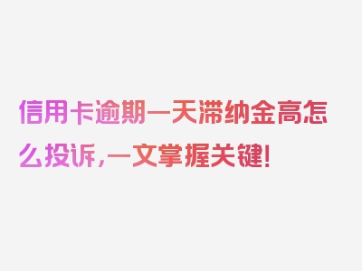 信用卡逾期一天滞纳金高怎么投诉，一文掌握关键！