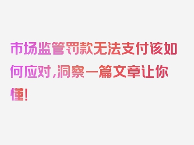 市场监管罚款无法支付该如何应对，洞察一篇文章让你懂！