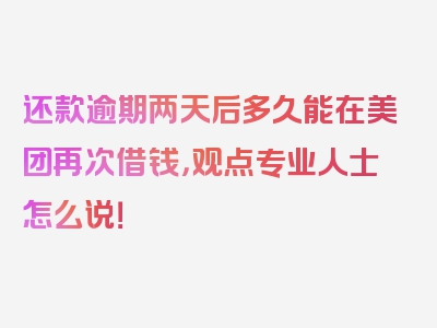 还款逾期两天后多久能在美团再次借钱，观点专业人士怎么说！