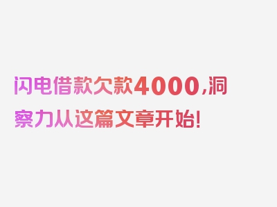 闪电借款欠款4000，洞察力从这篇文章开始！