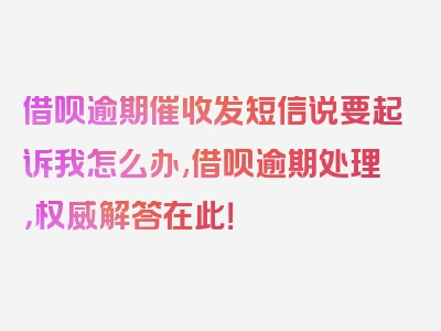 借呗逾期催收发短信说要起诉我怎么办,借呗逾期处理，权威解答在此！