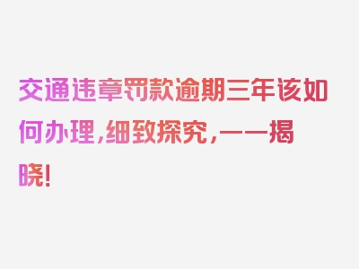 交通违章罚款逾期三年该如何办理，细致探究，一一揭晓！