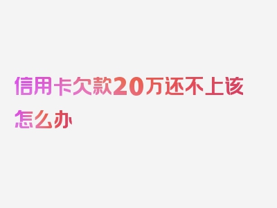 信用卡欠款20万还不上该怎么办