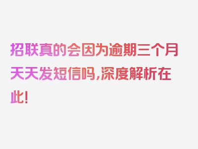 招联真的会因为逾期三个月天天发短信吗，深度解析在此！