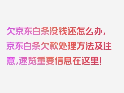 欠京东白条没钱还怎么办,京东白条欠款处理方法及注意，速览重要信息在这里！