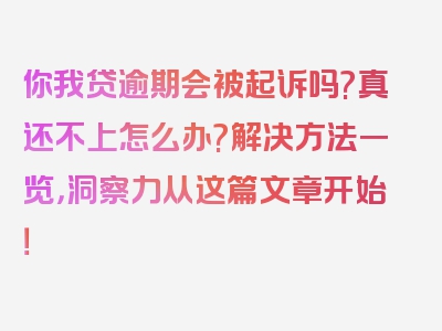 你我贷逾期会被起诉吗?真还不上怎么办?解决方法一览，洞察力从这篇文章开始！