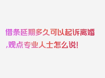 借条延期多久可以起诉离婚，观点专业人士怎么说！