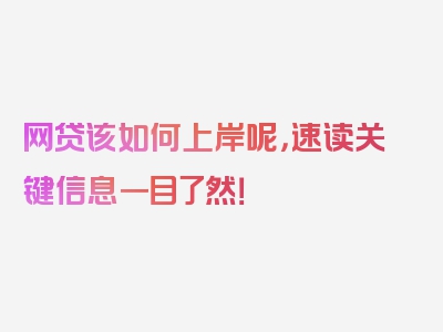 网贷该如何上岸呢，速读关键信息一目了然！