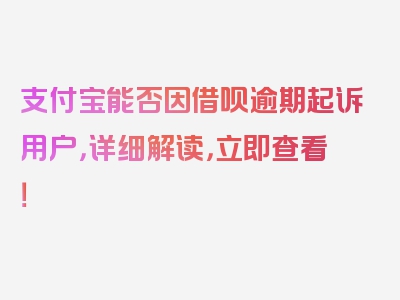 支付宝能否因借呗逾期起诉用户，详细解读，立即查看！