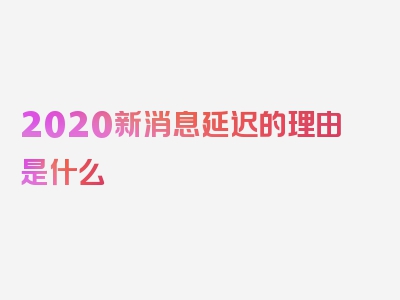 2020新消息延迟的理由是什么