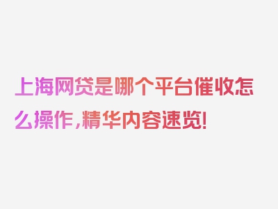 上海网贷是哪个平台催收怎么操作，精华内容速览！