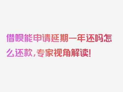 借呗能申请延期一年还吗怎么还款，专家视角解读！