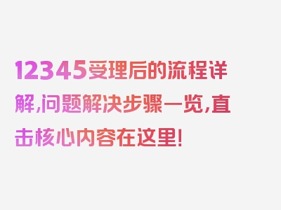 12345受理后的流程详解,问题解决步骤一览，直击核心内容在这里！