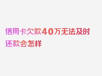 信用卡欠款40万无法及时还款会怎样