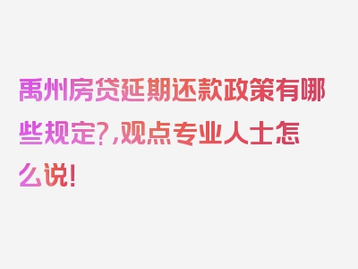 禹州房贷延期还款政策有哪些规定?，观点专业人士怎么说！