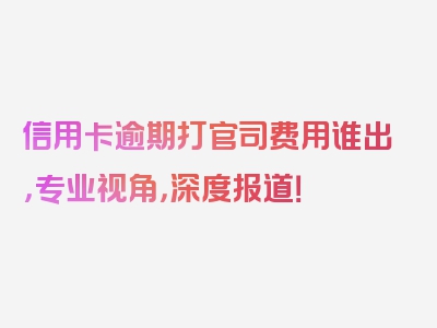 信用卡逾期打官司费用谁出，专业视角，深度报道！