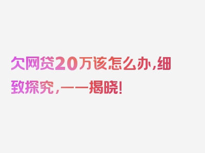 欠网贷20万该怎么办，细致探究，一一揭晓！