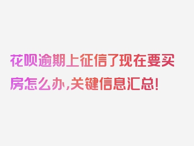 花呗逾期上征信了现在要买房怎么办，关键信息汇总！