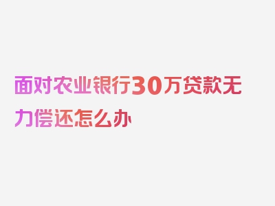 面对农业银行30万贷款无力偿还怎么办