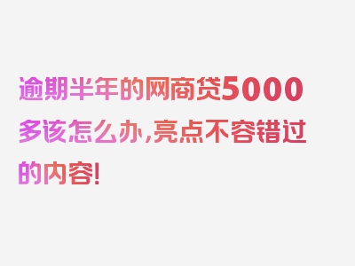 逾期半年的网商贷5000多该怎么办，亮点不容错过的内容！