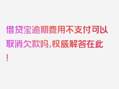 借贷宝逾期费用不支付可以取消欠款吗，权威解答在此！