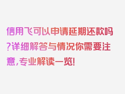 信用飞可以申请延期还款吗?详细解答与情况你需要注意，专业解读一览！