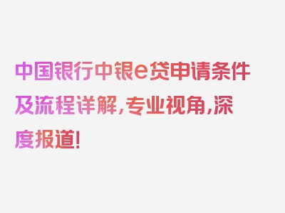 中国银行中银e贷申请条件及流程详解，专业视角，深度报道！