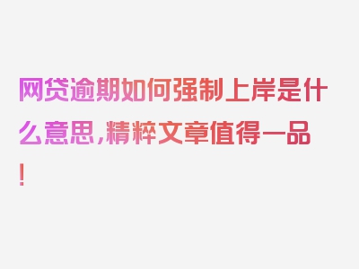 网贷逾期如何强制上岸是什么意思，精粹文章值得一品！