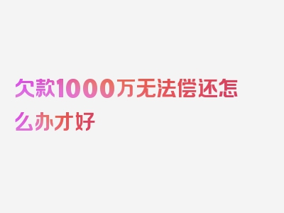 欠款1000万无法偿还怎么办才好