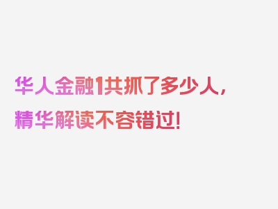 华人金融1共抓了多少人，精华解读不容错过！