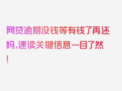 网贷逾期没钱等有钱了再还吗，速读关键信息一目了然！