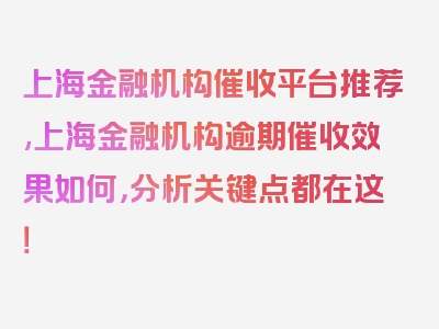 上海金融机构催收平台推荐,上海金融机构逾期催收效果如何，分析关键点都在这！