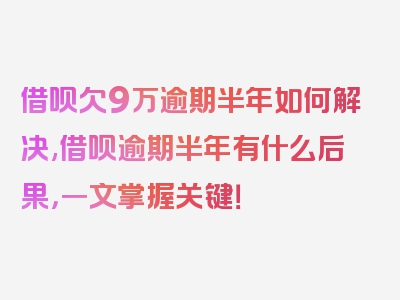 借呗欠9万逾期半年如何解决,借呗逾期半年有什么后果，一文掌握关键！