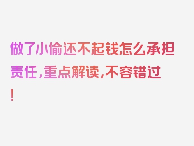 做了小偷还不起钱怎么承担责任，重点解读，不容错过！