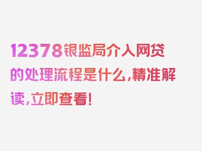 12378银监局介入网贷的处理流程是什么，精准解读，立即查看！