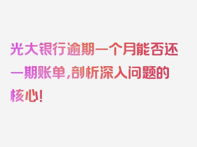 光大银行逾期一个月能否还一期账单，剖析深入问题的核心！