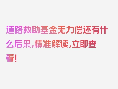 道路救助基金无力偿还有什么后果，精准解读，立即查看！