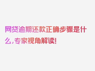 网贷逾期还款正确步骤是什么，专家视角解读！