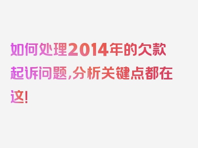 如何处理2014年的欠款起诉问题，分析关键点都在这！