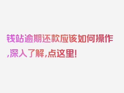 钱站逾期还款应该如何操作，深入了解，点这里！