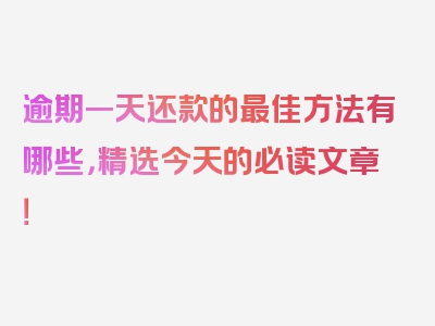 逾期一天还款的最佳方法有哪些，精选今天的必读文章！