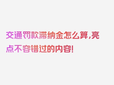 交通罚款滞纳金怎么算，亮点不容错过的内容！