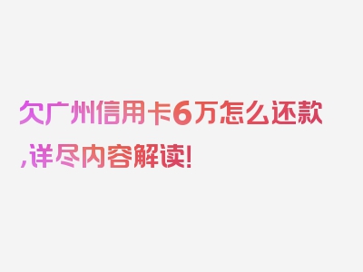 欠广州信用卡6万怎么还款，详尽内容解读！