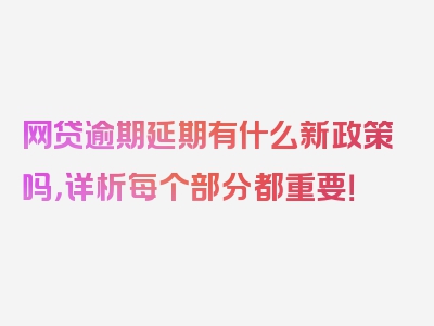 网贷逾期延期有什么新政策吗，详析每个部分都重要！