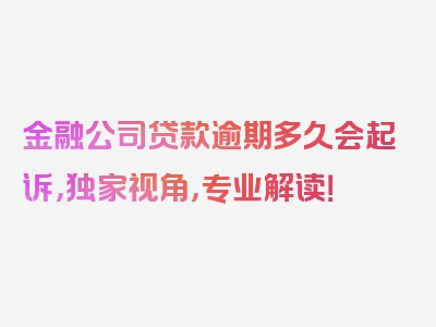 金融公司贷款逾期多久会起诉，独家视角，专业解读！