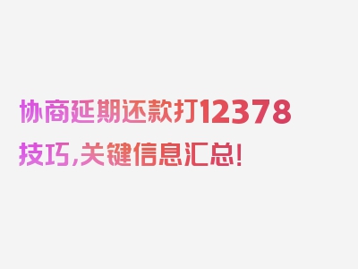 协商延期还款打12378技巧，关键信息汇总！